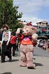 Dcim8329/DSC_3824