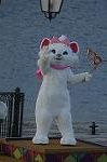 Dcim8332/DSC_4216