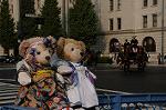 Dcim8338/DSC_5138