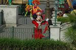 Dcim8341/DSC_0767