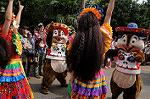 Dcim8346/DSC_5554