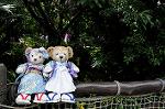 Dcim8347/DSC_5721