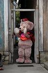 Dcim8347/DSC_5789