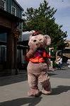 Dcim8348/DSC_5873