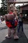 Dcim8348/DSC_5919
