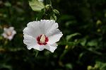 Dcim8358/DSC_7266