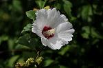 Dcim8358/DSC_7269
