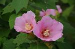 Dcim8358/DSC_7275