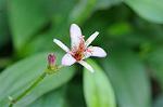 Dcim8358/DSC_7282