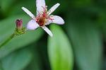 Dcim8358/DSC_7283