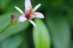 Dcim8358/DSC_7284