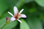 Dcim8358/DSC_7289
