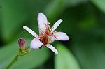 Dcim8358/DSC_7292
