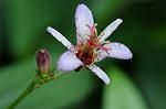 Dcim8358/DSC_7293
