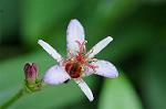 Dcim8358/DSC_7295