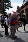 Dcim8365/DSC_7600