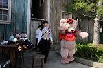 Dcim8367/DSC_7852
