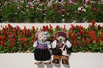 Dcim8379/DSC_9677