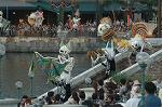 Dcim8382/DSC_2070