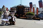 Dcim8386/DSC_0047