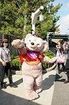 Dcim8387/DSC_0175