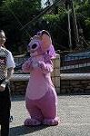 Dcim8388/DSC_0407