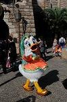 Dcim8388/DSC_0437