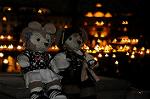 Dcim8390/DSC_0786