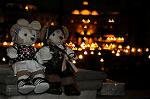 Dcim8390/DSC_0788