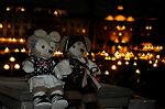 Dcim8390/DSC_0789