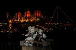 Dcim8393/DSC_1130