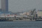Dcim8397/DSC_1722