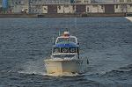 Dcim8397/DSC_1726