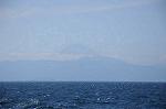 Dcim8406/DSC_2521