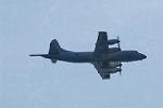 Dcim8413/DSC_5021