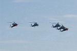 Dcim8413/DSC_5037