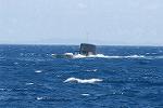 Dcim8415/DSC_5273