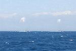 Dcim8417/DSC_5460
