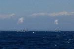 Dcim8417/DSC_5461