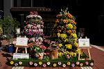 Dcim8420/DSC_2883