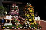 Dcim8420/DSC_2884