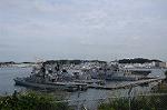 Dcim8445/DSC_4744