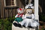 Dcim8456/DSC_5370