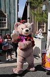 Dcim8456/DSC_5406