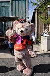 Dcim8456/DSC_5407