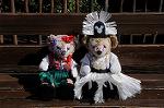 Dcim8456/DSC_5445