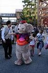 Dcim8458/DSC_5617