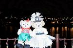 Dcim8462/DSC_6217