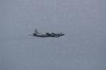 Dcim8470/DSC_7385