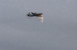 Dcim8470/DSC_7387